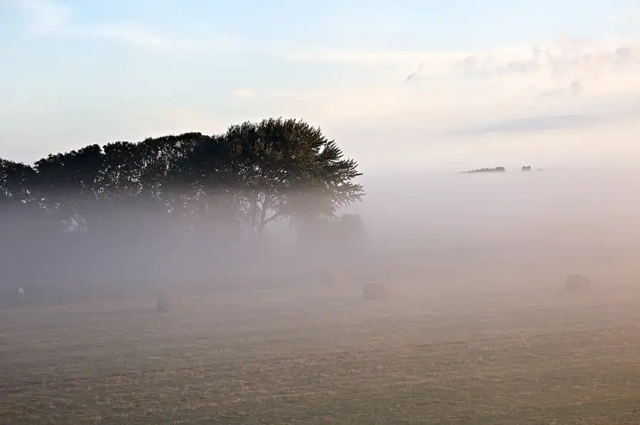 011 | 2024 | Westerhever | © carsten riede fotografie