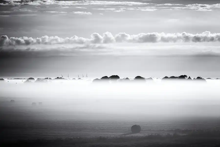 022 | 2024 | Westerhever | © carsten riede fotografie