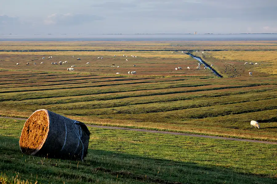 027 | 2024 | Westerhever | © carsten riede fotografie