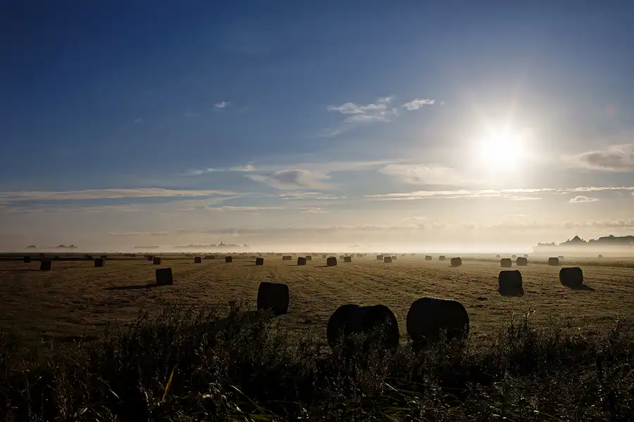 028 | 2024 | Westerhever | © carsten riede fotografie