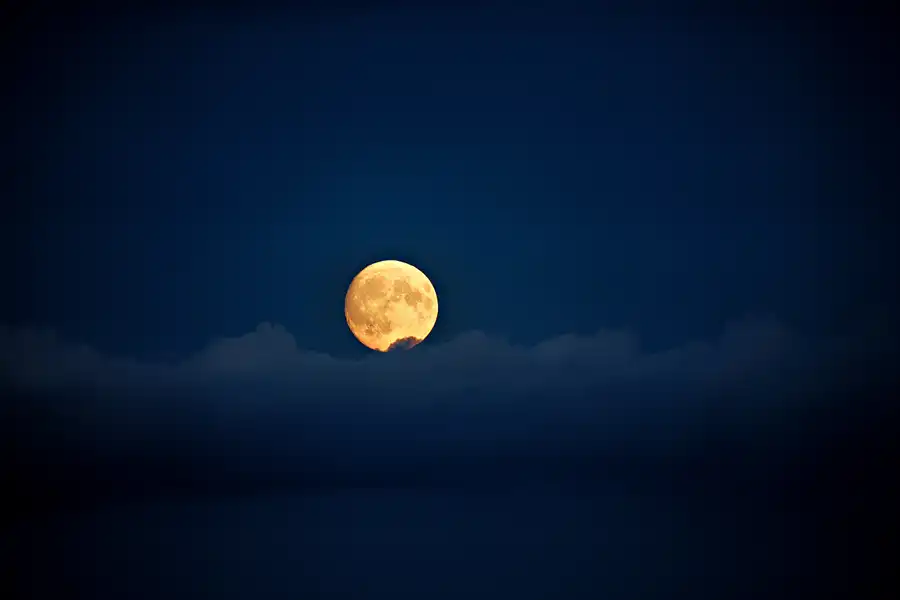 035 | 2024 | Westerhever | © carsten riede fotografie