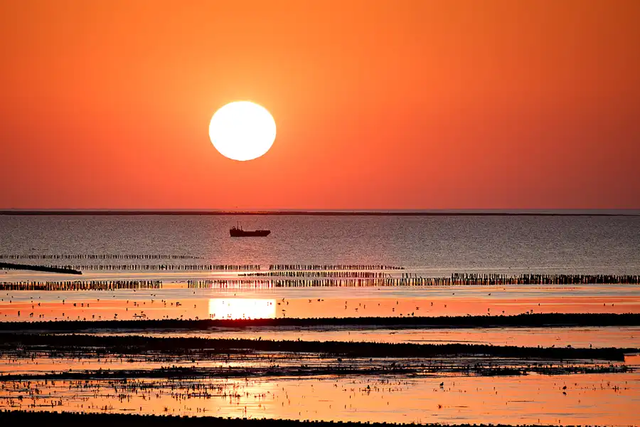 046 | 2024 | Norderfriedrichskoog | © carsten riede fotografie