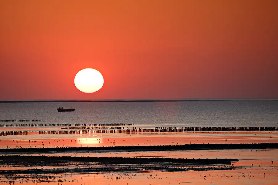 047 | 2024 | Norderfriedrichskoog | © carsten riede fotografie