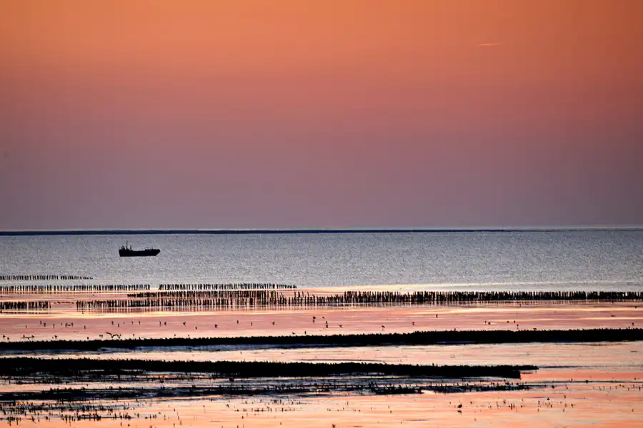 049 | 2024 | Norderfriedrichskoog | © carsten riede fotografie