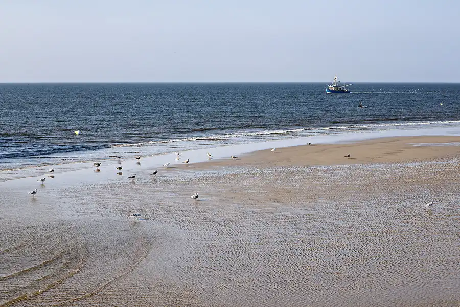 071 | 2024 | Sankt Peter-Ording | Strandparkplatz Ording Nord | © carsten riede fotografie