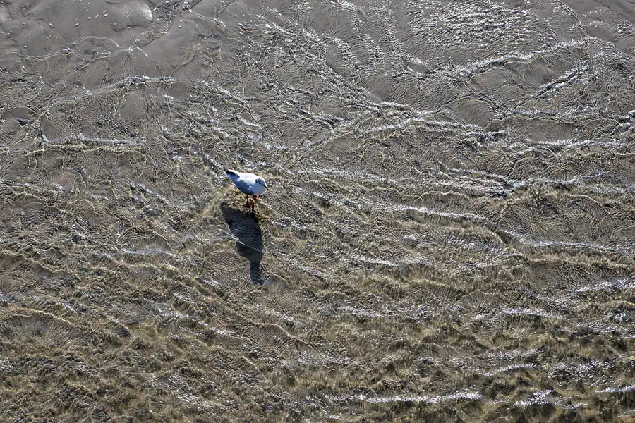 072 | 2024 | Sankt Peter-Ording | Strandparkplatz Ording Nord | © carsten riede fotografie