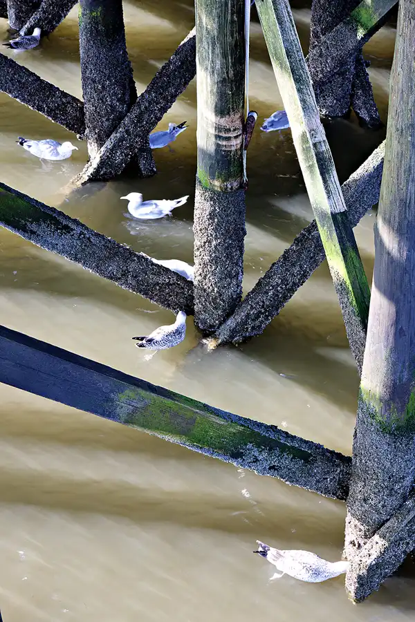 077 | 2024 | Sankt Peter-Ording | Strandparkplatz Ording Nord | © carsten riede fotografie