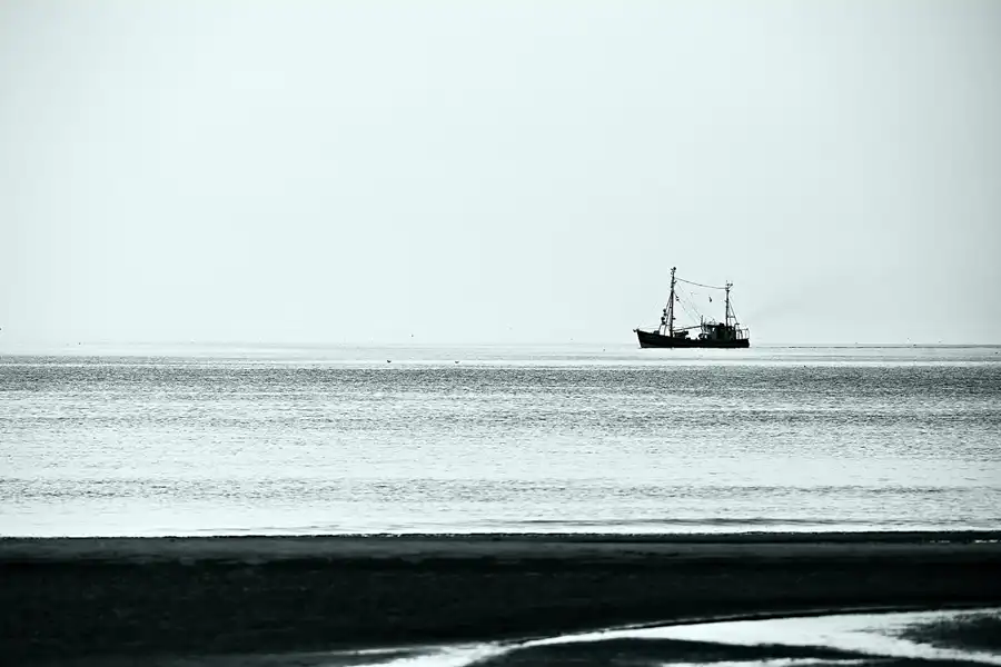 098 | 2024 | Sankt Peter-Ording | Strandparkplatz Ording Nord  | © carsten riede fotografie