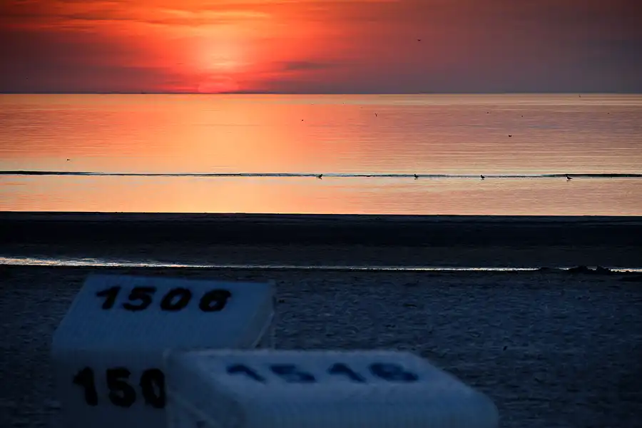 103 | 2024 | Sankt Peter-Ording | Strandparkplatz Ording Nord  | © carsten riede fotografie