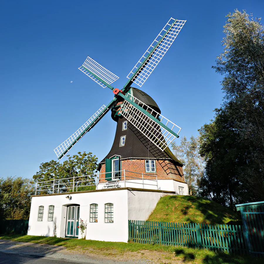 063 | 2024 | Oldenswort | Windmühle Catharina | © carsten riede fotografie