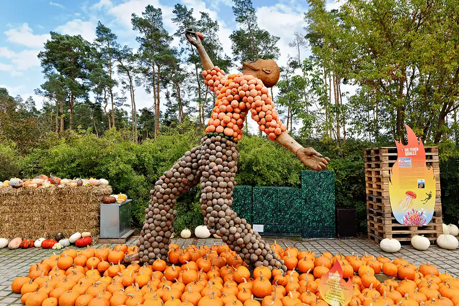 002 | 2024 | Beelitz GT Klaistow | Kürbisausstellung | © carsten riede fotografie