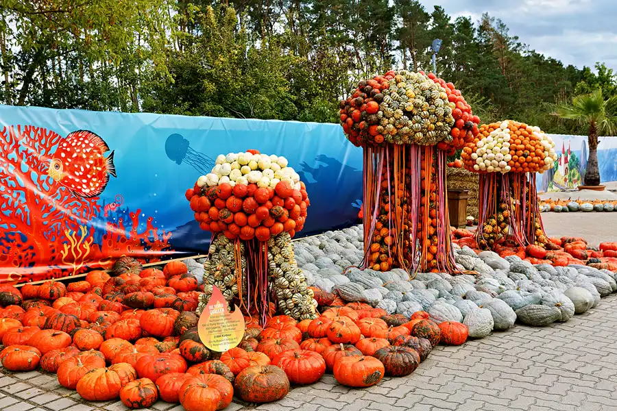 004 | 2024 | Beelitz GT Klaistow | Kürbisausstellung | © carsten riede fotografie