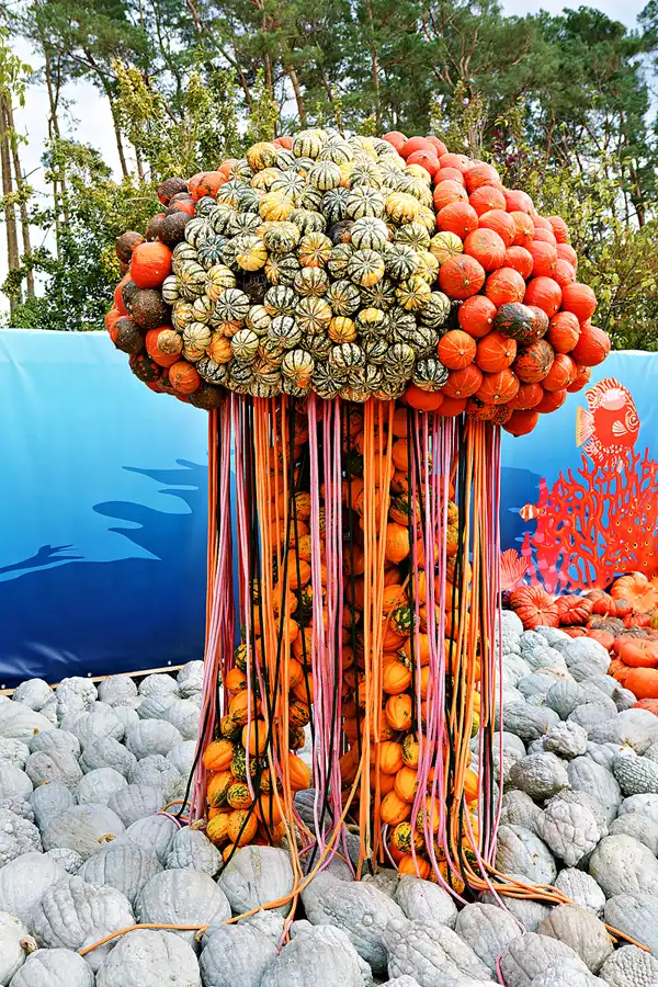 005 | 2024 | Beelitz GT Klaistow | Kürbisausstellung | © carsten riede fotografie