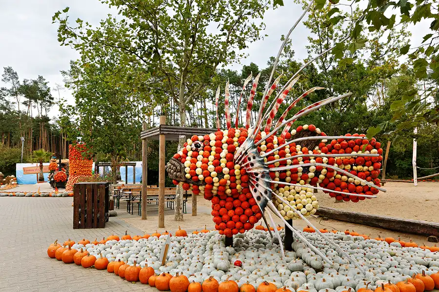 009 | 2024 | Beelitz GT Klaistow | Kürbisausstellung | © carsten riede fotografie
