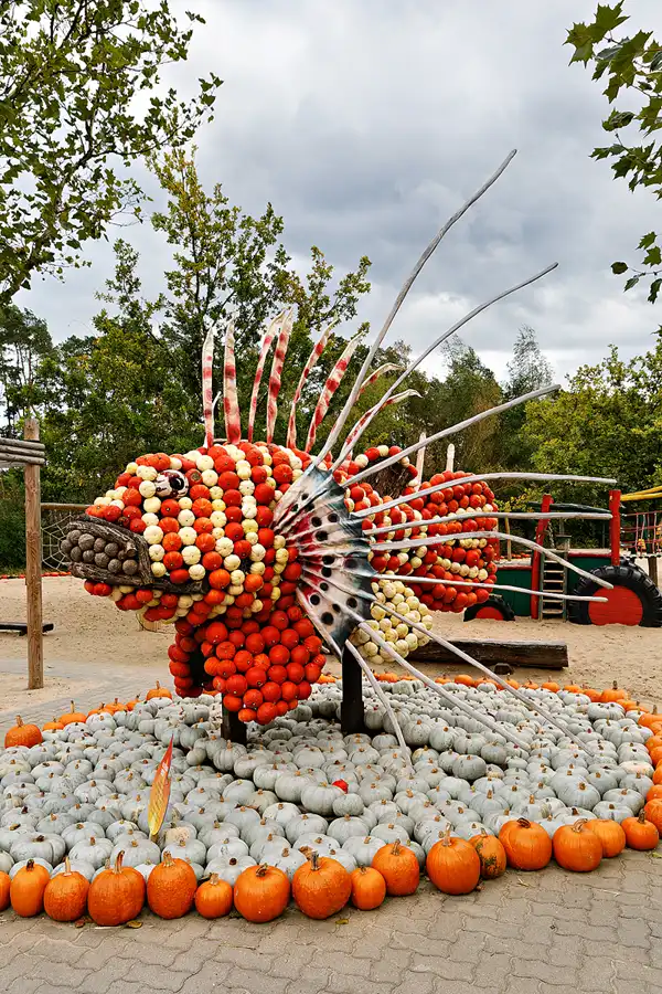 010 | 2024 | Beelitz GT Klaistow | Kürbisausstellung | © carsten riede fotografie