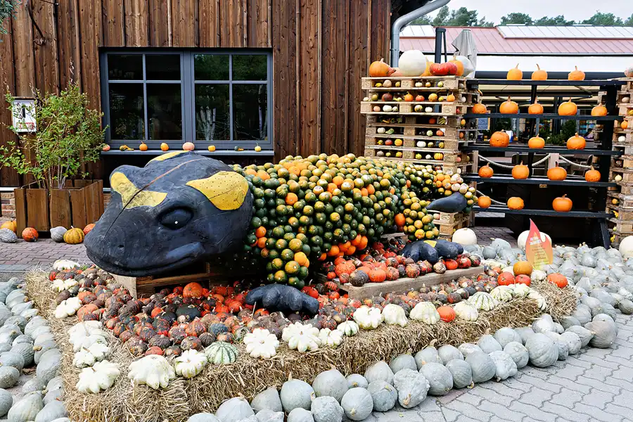 011 | 2024 | Beelitz GT Klaistow | Kürbisausstellung | © carsten riede fotografie