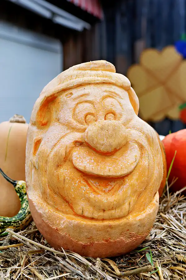 012 | 2024 | Beelitz GT Klaistow | Kürbisausstellung | © carsten riede fotografie