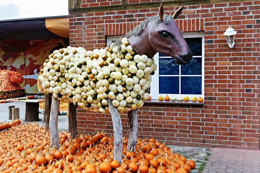 015 | 2024 | Beelitz GT Klaistow | Kürbisausstellung | © carsten riede fotografie