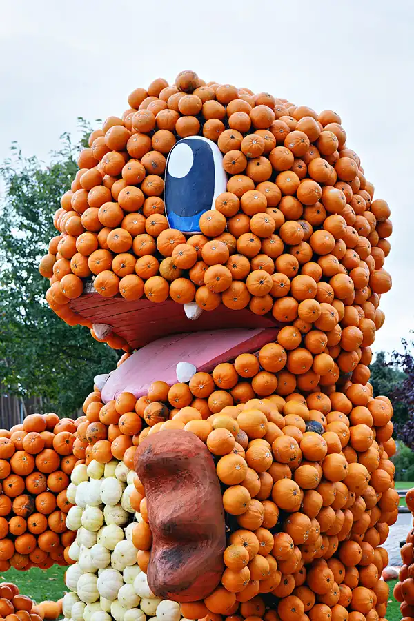 032 | 2024 | Beelitz GT Klaistow | Kürbisausstellung | © carsten riede fotografie