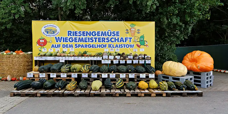 033 | 2024 | Beelitz GT Klaistow | Kürbisausstellung | © carsten riede fotografie