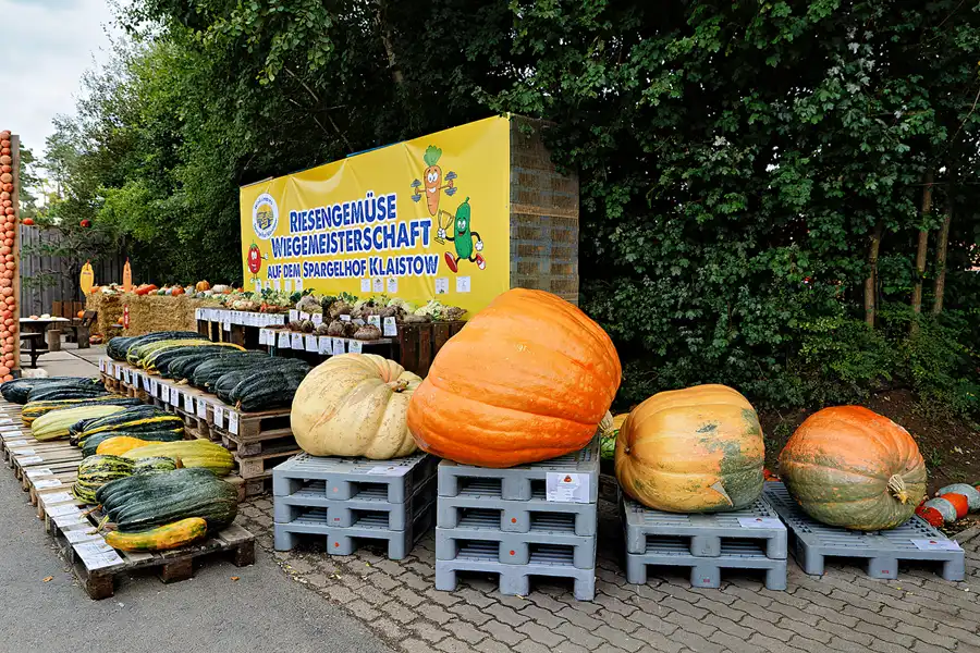 034 | 2024 | Beelitz GT Klaistow | Kürbisausstellung | © carsten riede fotografie