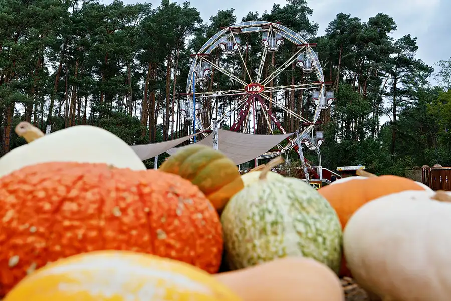 043 | 2024 | Beelitz GT Klaistow | Kürbisausstellung | © carsten riede fotografie