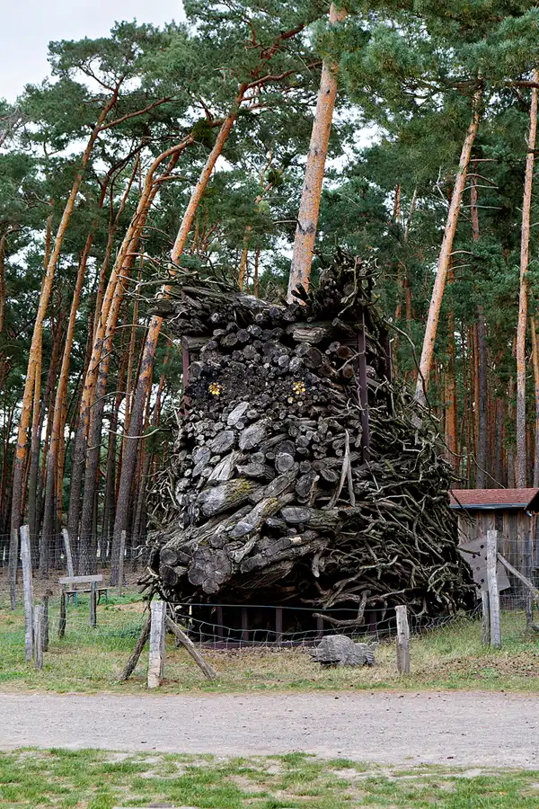 048 | 2024 | Beelitz GT Klaistow | © carsten riede fotografie