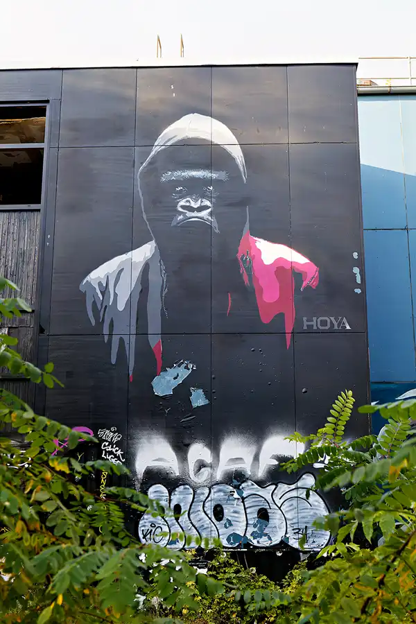 116 | 2024 | Berlin | Field Station Teufelsberg | © carsten riede fotografie