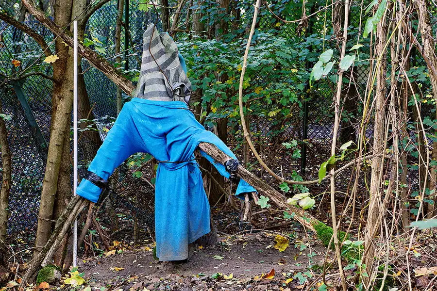 144 | 2024 | Berlin | Field Station Teufelsberg | © carsten riede fotografie