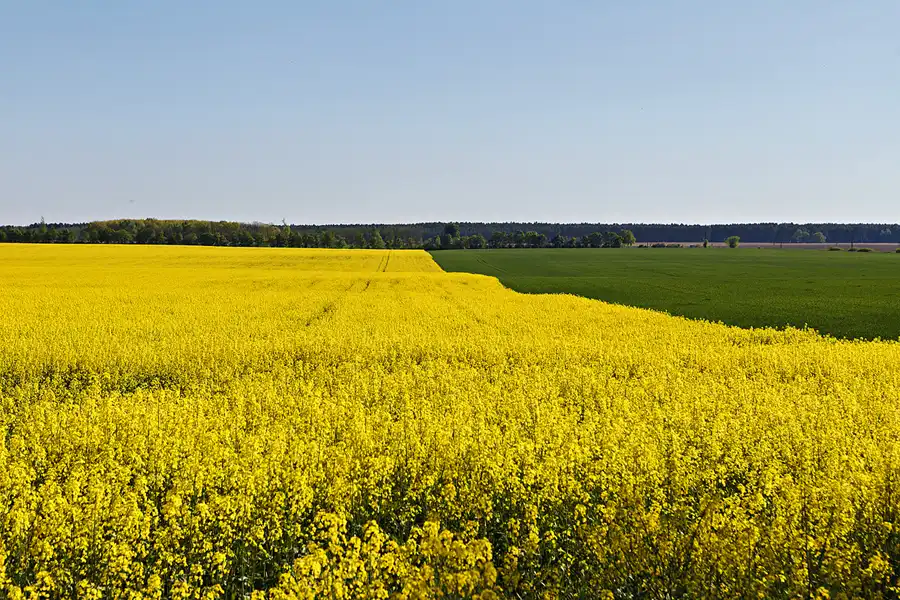 030 | 2025 | Oehna | © carsten riede fotografie