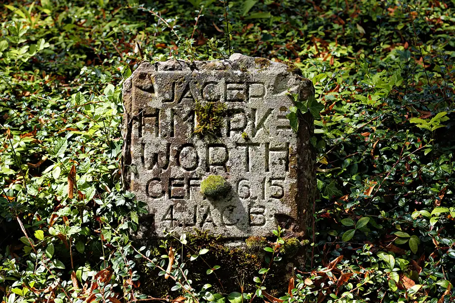 071 | 2025 | Harbke | © carsten riede fotografie