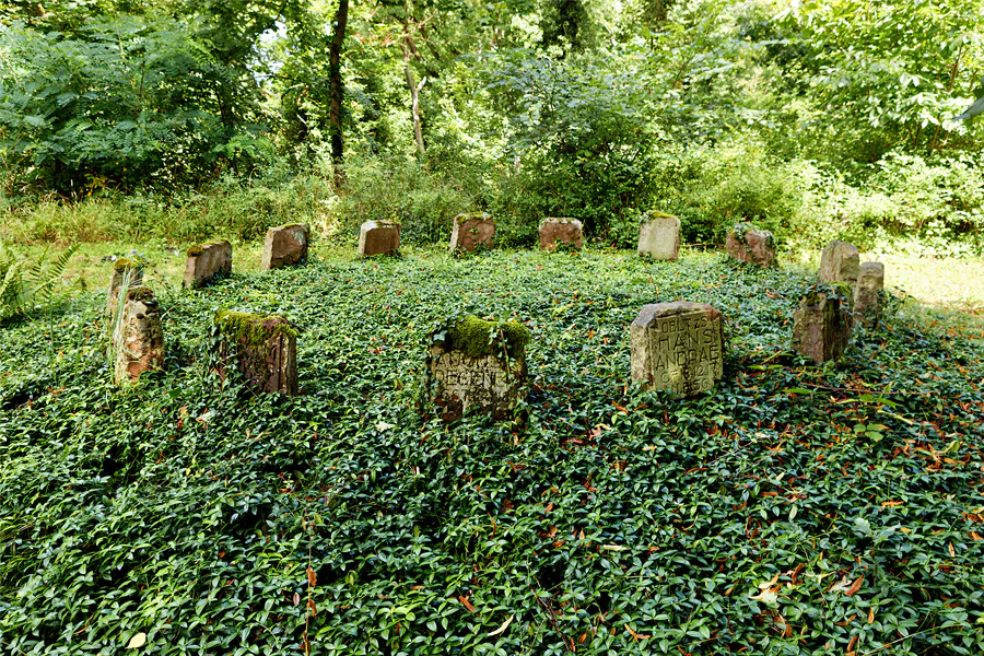 070 | 2025 | Harbke | © carsten riede fotografie