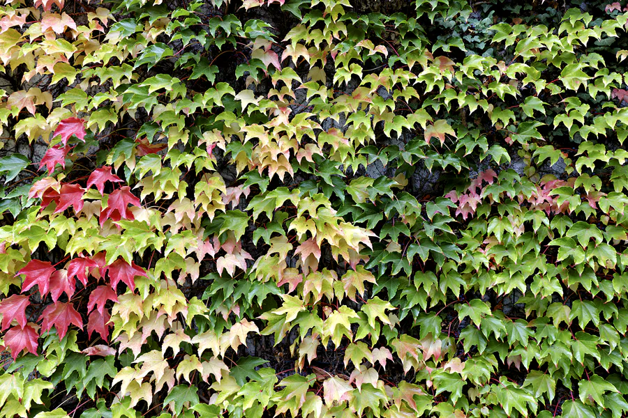 088 | 2025 | Berlin | Krematorium Berlin-Wedding – silent green Kulturquartier | © carsten riede fotografie