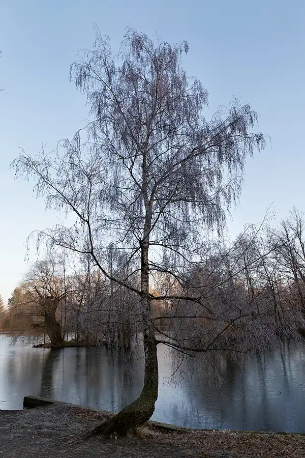 005 | 2025 | Berlin | Obersee-Orankesee-Park | © carsten riede fotografie