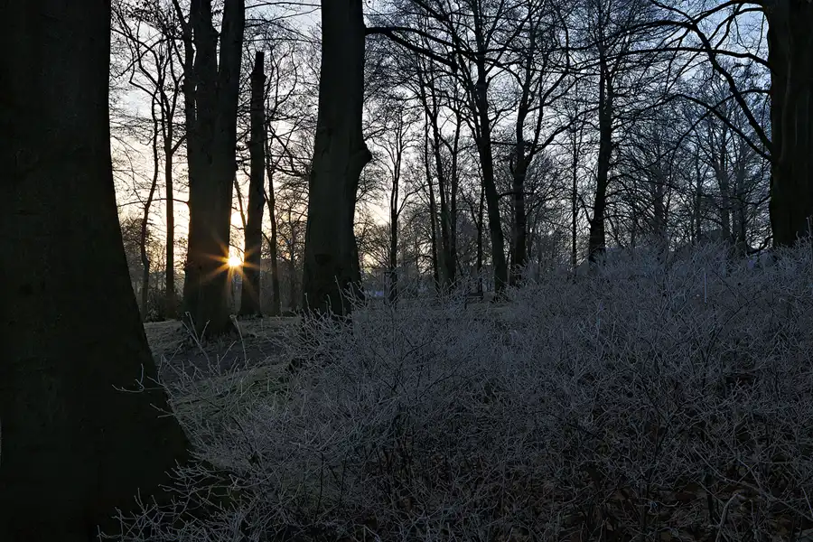009 | 2025 | Berlin | Obersee-Orankesee-Park | © carsten riede fotografie