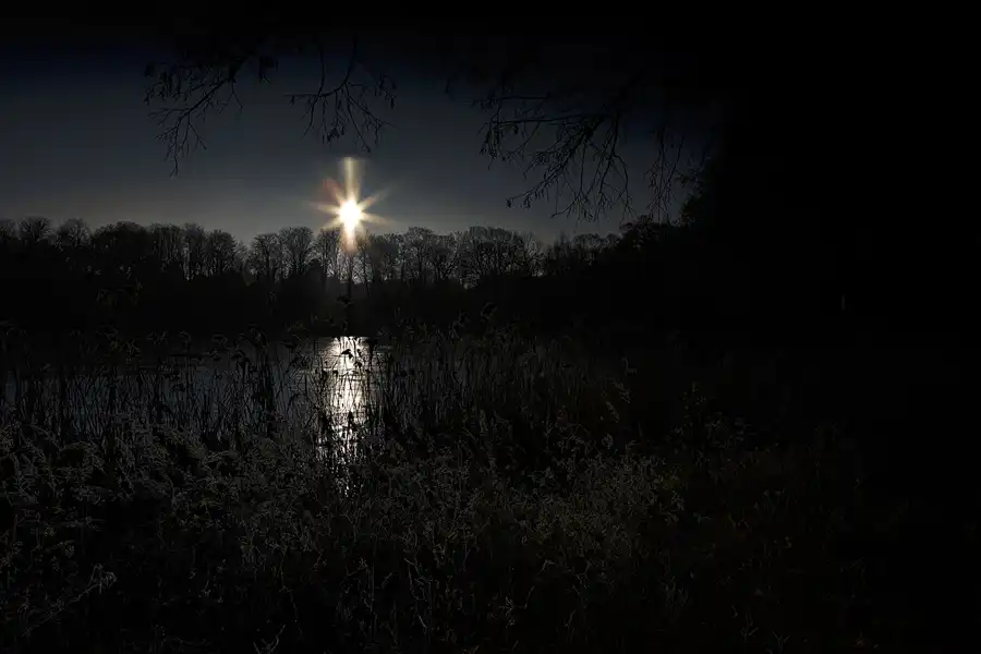011 | 2025 | Berlin | Obersee-Orankesee-Park | © carsten riede fotografie
