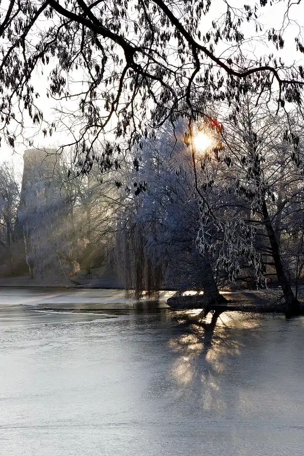 015 | 2025 | Berlin | Obersee-Orankesee-Park | © carsten riede fotografie
