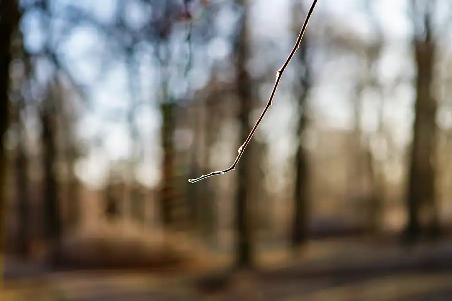 022 | 2025 | Berlin | Obersee-Orankesee-Park | © carsten riede fotografie