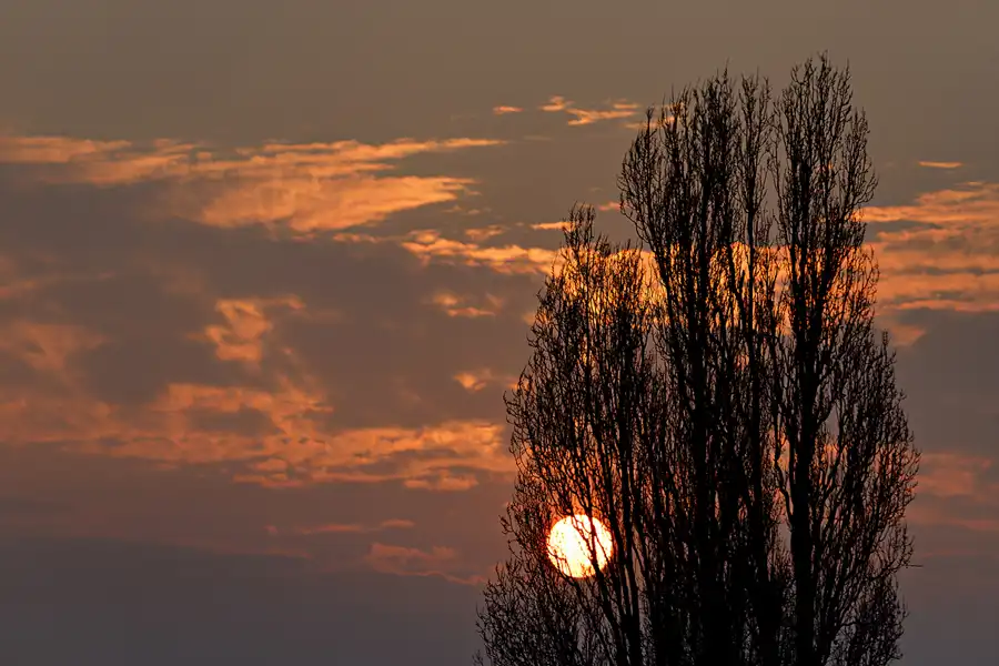 061 | 2025 | Berlin | Alt-Hohenschönhausen | © carsten riede fotografie