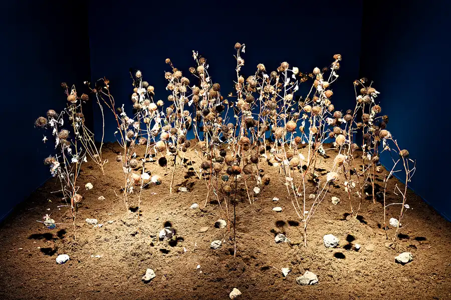 002 | 2025 | Berlin | Sammlung Scharf-Gerstenberg – Ausstellung Böse Blumen | © carsten riede fotografie