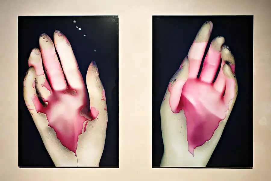 008 | 2025 | Berlin | Sammlung Scharf-Gerstenberg – Ausstellung Böse Blumen | © carsten riede fotografie