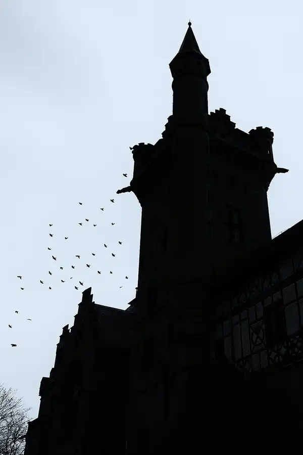 093 | 2025 | Bad Sooden-Allendorf | Schloss Rothestein | © carsten riede fotografie