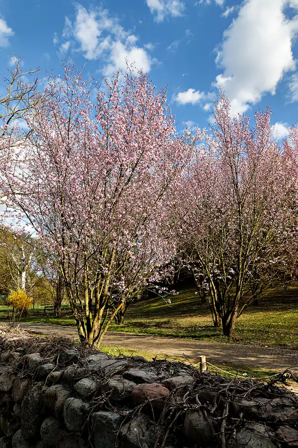 016 | 2025 | Berlin | Gärten der Welt im Erholungspark Marzahn | © carsten riede fotografie