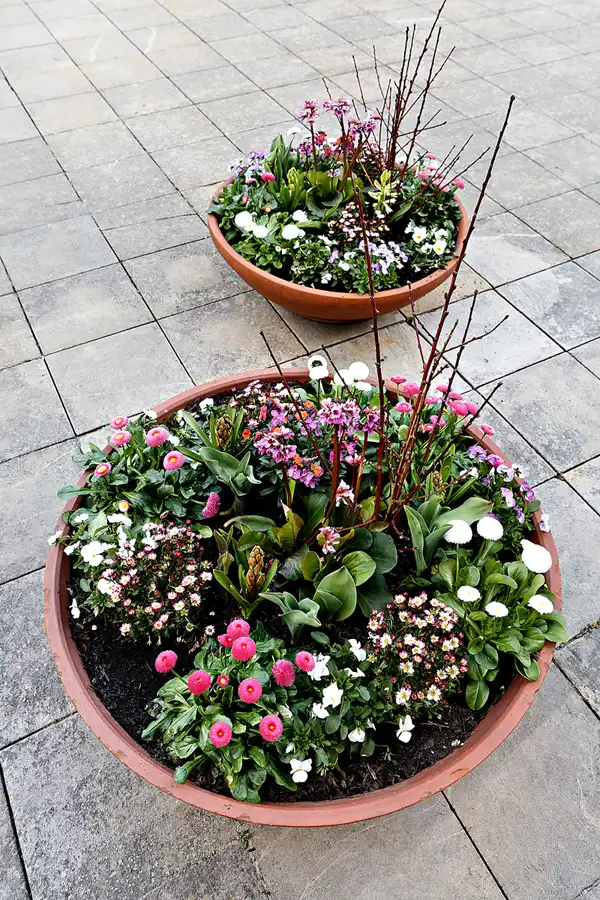 037 | 2025 | Berlin | Gärten der Welt im Erholungspark Marzahn | © carsten riede fotografie