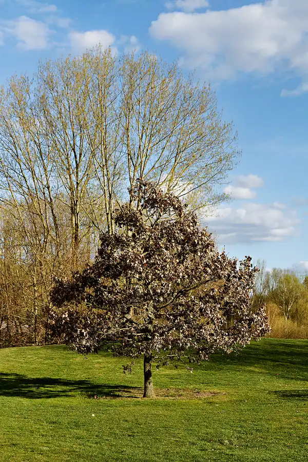 039 | 2025 | Berlin | Gärten der Welt im Erholungspark Marzahn | © carsten riede fotografie