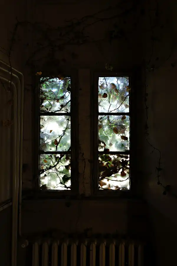 066 | 2025 | Crossen an der Elster | Schloss Crossen | © carsten riede fotografie