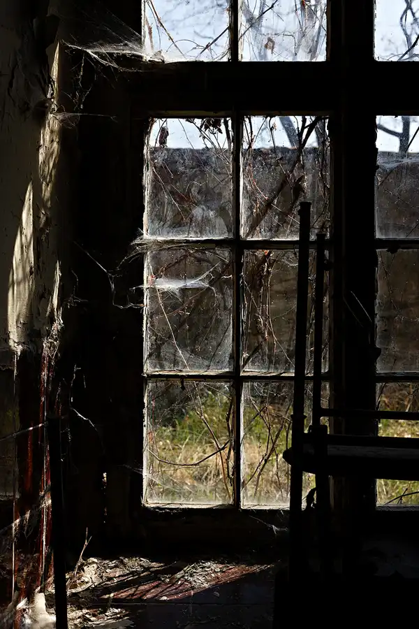 070 | 2025 | Crossen an der Elster | Schloss Crossen | © carsten riede fotografie