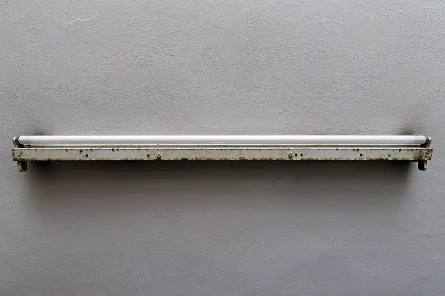 084 | 2025 | Crossen an der Elster | Schloss Crossen | © carsten riede fotografie