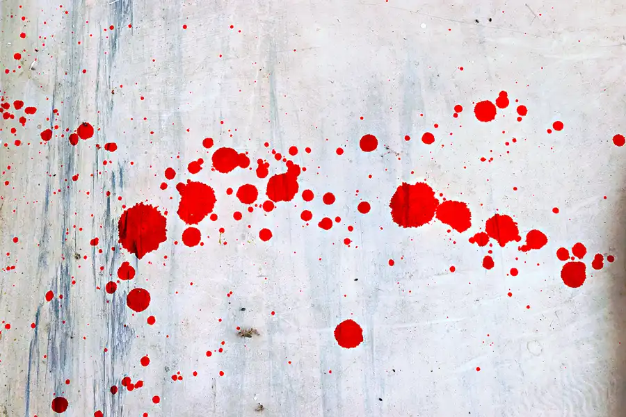 096 | 2025 | Annaburg | Annaburg Porzellan | © carsten riede fotografie