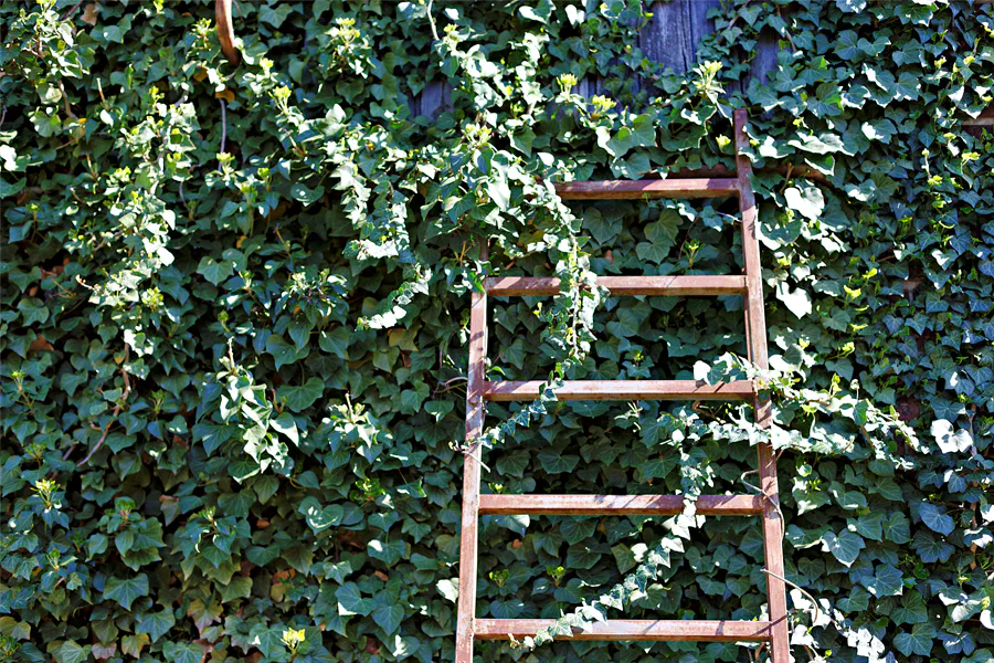 175 | 2025 | Annaburg | Annaburg Porzellan | © carsten riede fotografie